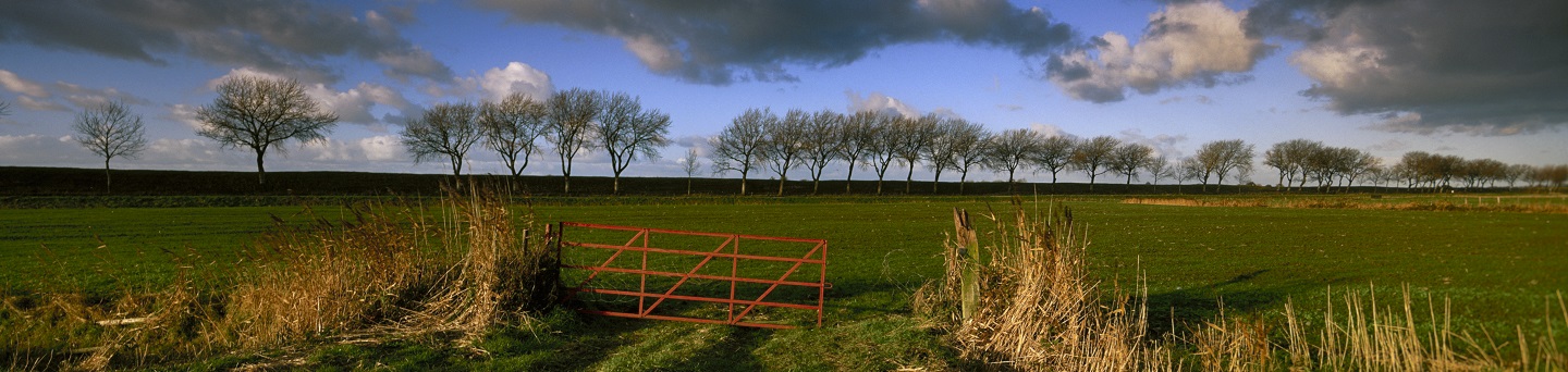 Landscape, Thijs Tuurenhout